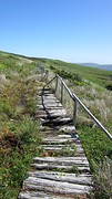 IMG_0040