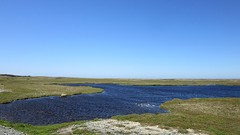 IMG_0052