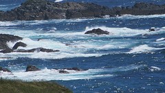 IMG_0057