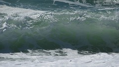 IMG_0075