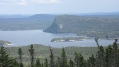 IMG_0037