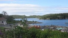 IMG_0042