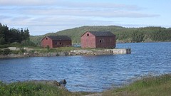 IMG_0048