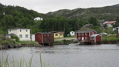 IMG_0012