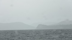 IMG_0012