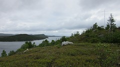 IMG_0027
