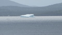 IMG_0029