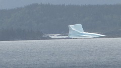 IMG_0032