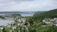 IMG_0041