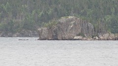 IMG_0021