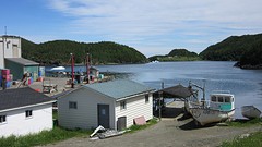 IMG_0026