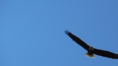 IMG_0034