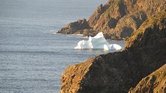 IMG_0075