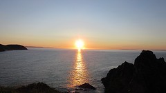 IMG_0086