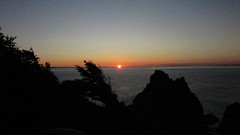 IMG_0101