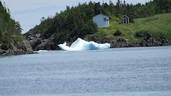IMG_0024