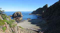 IMG_0005