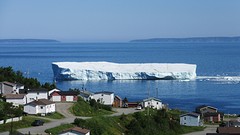 IMG_0007