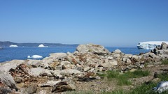 IMG_0009