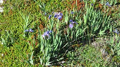 IMG_0029