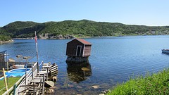 IMG_0036