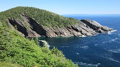 IMG_0041
