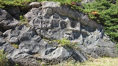 IMG_0064
