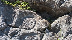 IMG_0066