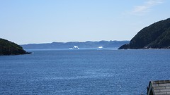 IMG_0046