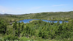 IMG_0014