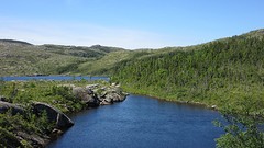 IMG_0018