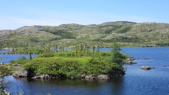 IMG_0019