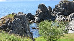 IMG_0021