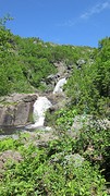 IMG_0028
