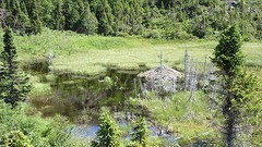 IMG_0030