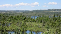 IMG_0040