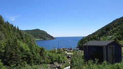IMG_0050