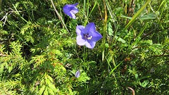 IMG_0005