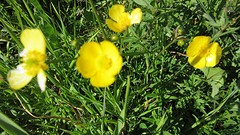 IMG_0069