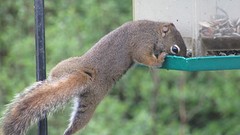 IMG_0096
