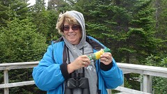 DSC01591