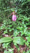 IMG_0011