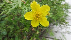 IMG_0046