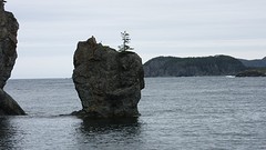 IMG_0050