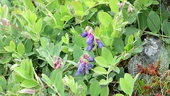 IMG_0029 - kopie