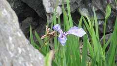 IMG_0032 - kopie