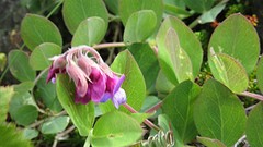 IMG_0027