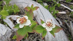 IMG_0040