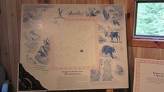 IMG_0044