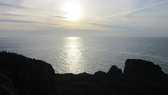 IMG_0061